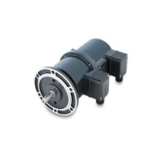 Encoder incremental con limitador de velocidad - Fegemu Solutions