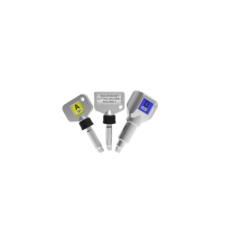 Elección de llaves codificadas - Fegemu Solutions
