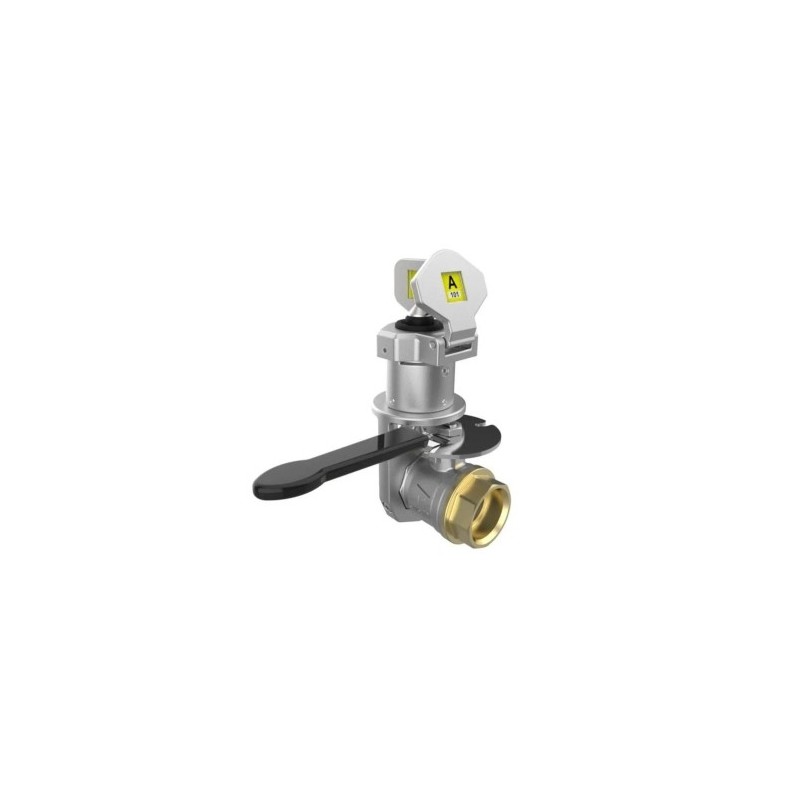 Válvulas de bloqueo en miniatura en acero inoxidable (1" BSPP FCL / FOP) - Fegemu Solutions