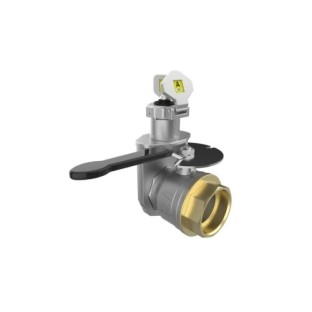 Válvulas de bloqueo en miniatura en acero inoxidable (2" BSPP FCL / FOP) - Fegemu Solutions