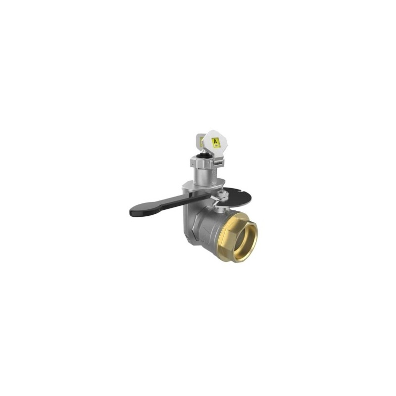 Válvulas de bloqueo en miniatura en acero inoxidable (2" BSPP FCL / FOP) - Fegemu Solutions