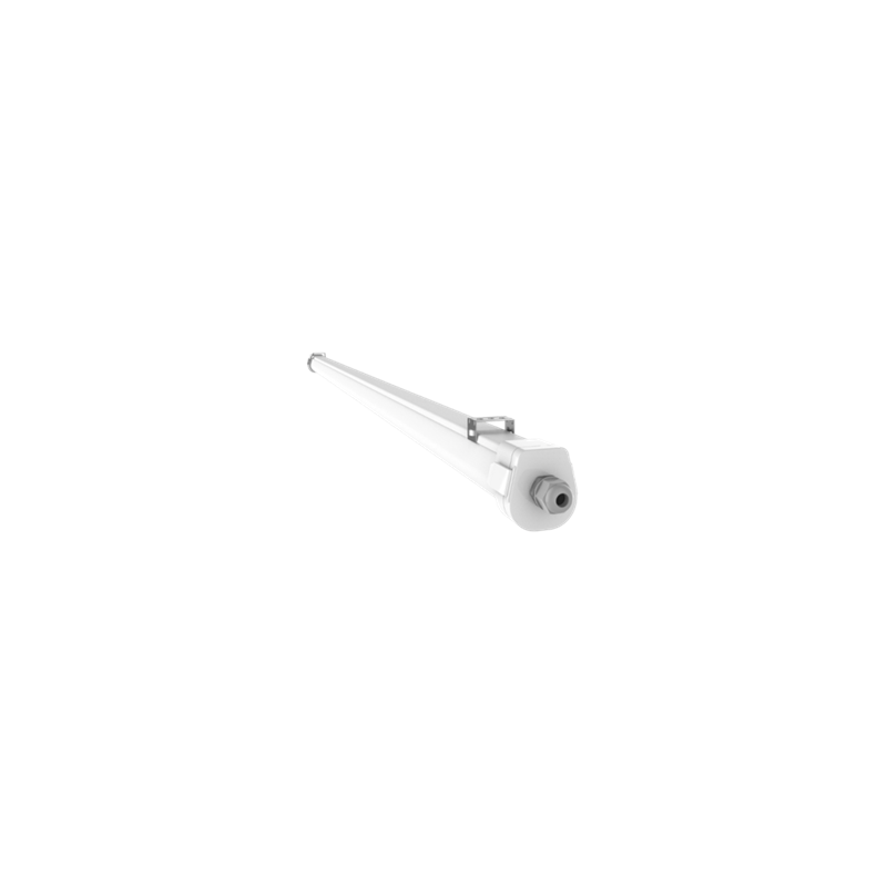 Vega