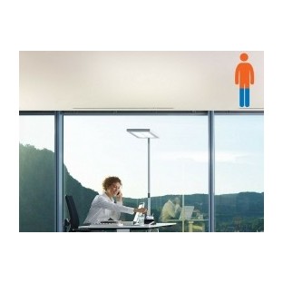 A la tarde - Fegemu Solutions
