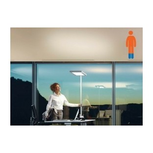 A la noche - Fegemu Solutions