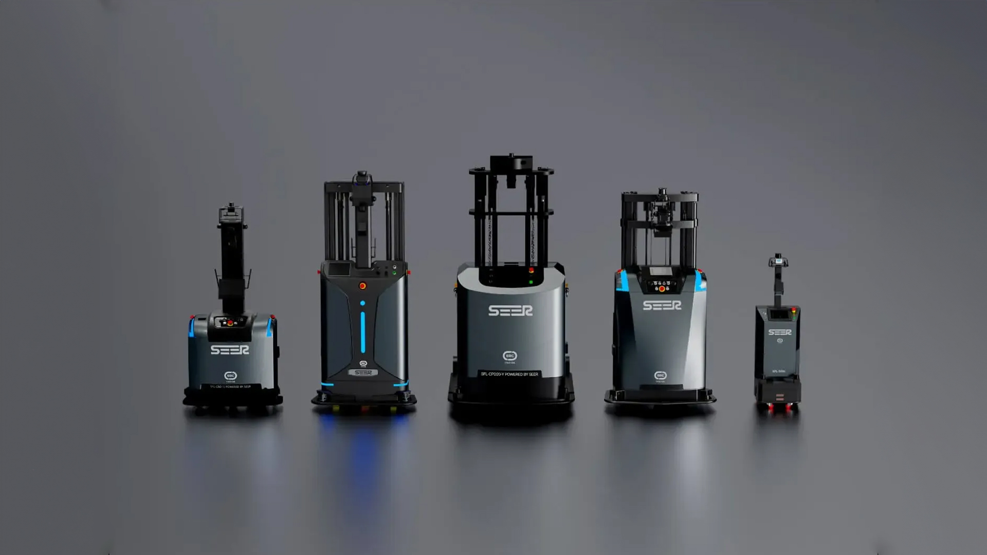 Seer - Marca Fegemu Solutions